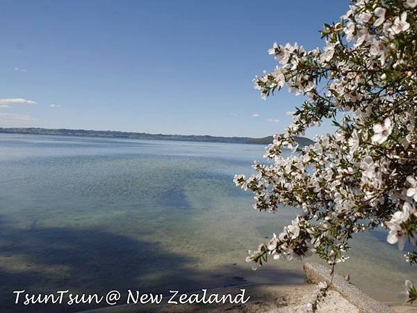 NZ22rotorua