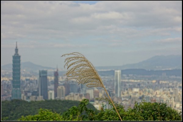 2022.12.25 台北信義區 ‧ 拇指山
