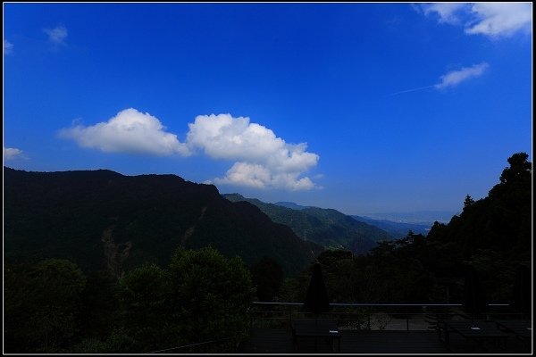 2016.07.30 三峽熊空茶園