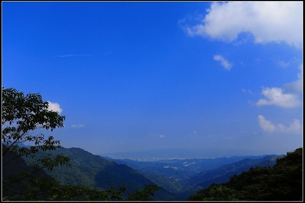 2016.07.30 三峽熊空茶園