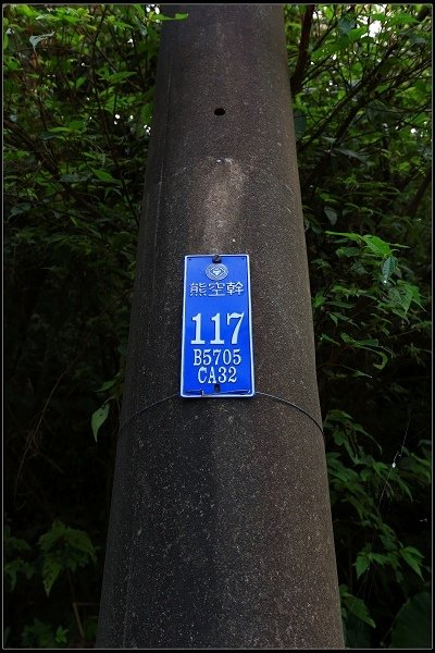 2016.07.30 三峽熊空茶園