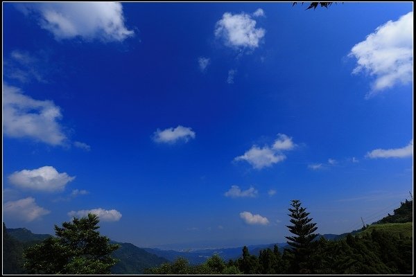 2016.07.30 三峽熊空茶園