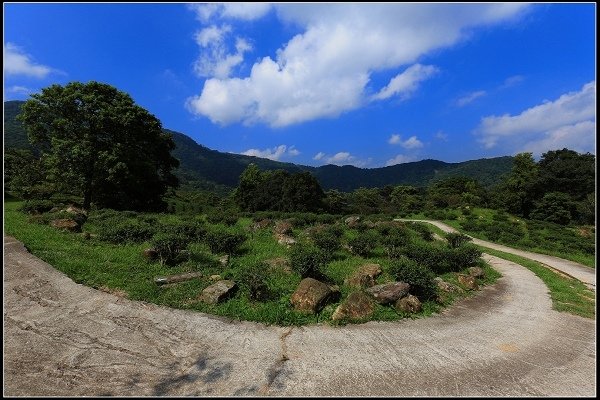 2016.07.30 三峽熊空茶園