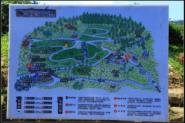 2016.07.30 三峽熊空茶園