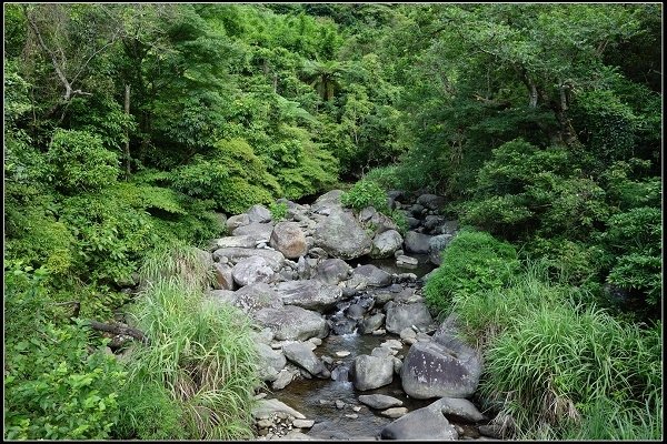 2016.07.02 陽明山‧坪頂水圳步道