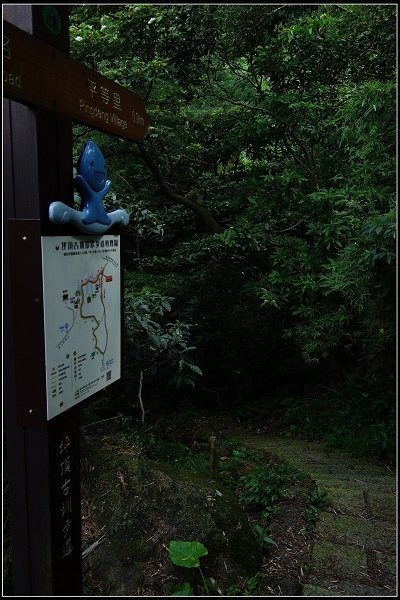 2016.07.02 陽明山‧坪頂水圳步道