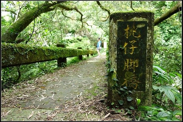 2016.07.02 陽明山‧坪頂水圳步道