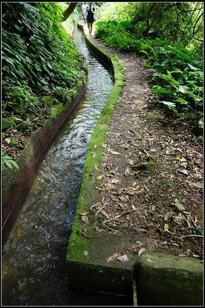 2016.07.02 陽明山‧坪頂水圳步道