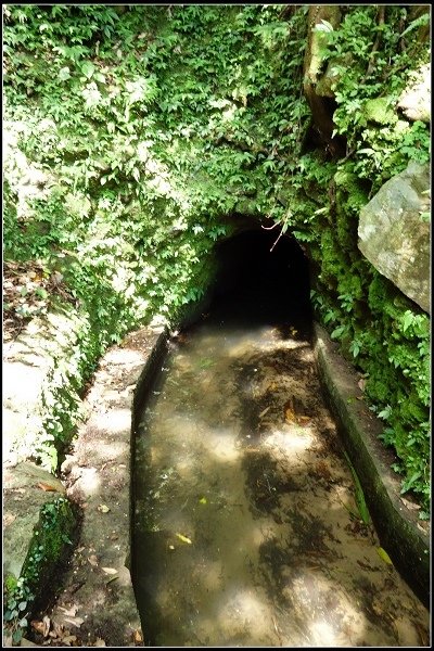 2016.07.02 陽明山‧坪頂水圳步道