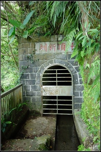 2016.07.02 陽明山‧坪頂水圳步道