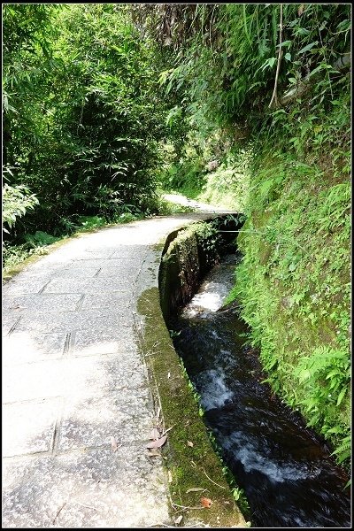 2016.07.02 陽明山‧坪頂水圳步道