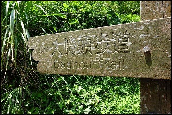 2016.07.02 陽明山‧坪頂水圳步道