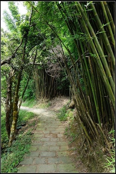 2016.07.02 陽明山‧坪頂水圳步道