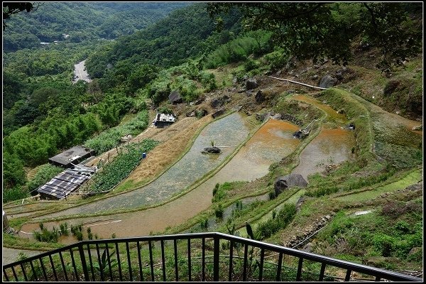 2016.07.02 陽明山‧坪頂水圳步道