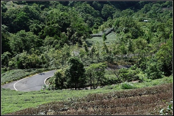 2016.06.24【單車遊記】石碇鱷魚島