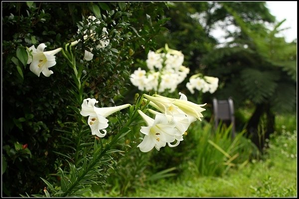 2016.05.21 石門富貴角公園 &amp; 三芝牧蜂農莊