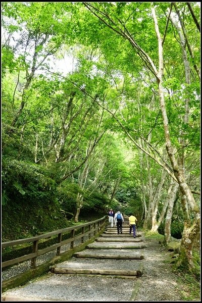 2016.04.05 三峽滿月圓森林遊樂區