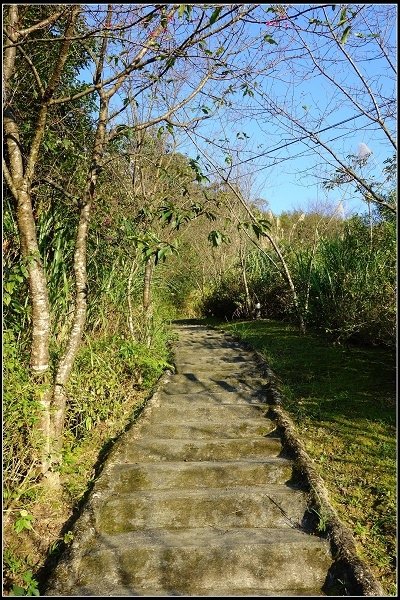 2016.01.01 大溪老茶廠 &amp; 花岩山林花園餐廳