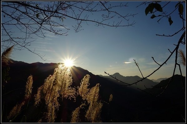 2016.01.01 大溪老茶廠 &amp; 花岩山林花園餐廳