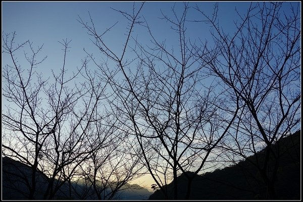 2016.01.01 大溪老茶廠 &amp; 花岩山林花園餐廳