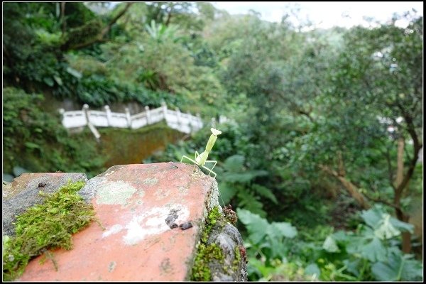 2015.12.05 木柵‧指南風景區、指南宮步道