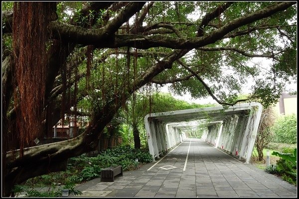 2015.10.11 林安泰古厝 &amp; 花博流行館(水展覽)