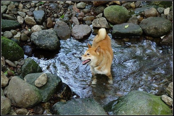 2015.07.19 石門青山瀑布