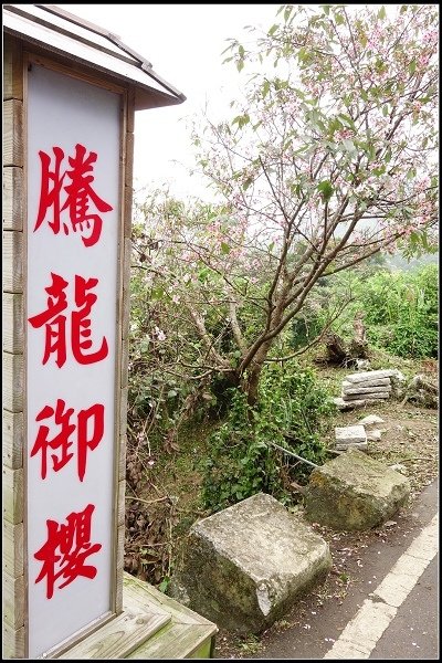2015.03.22【單車遊記】花現貓空‧幽然祕徑尋魯冰