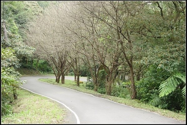 2014.12.17【單車遊記】尋找楓紅之旅