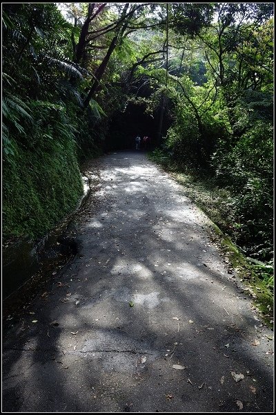 2014.11.22 草嶺古道賞秋芒