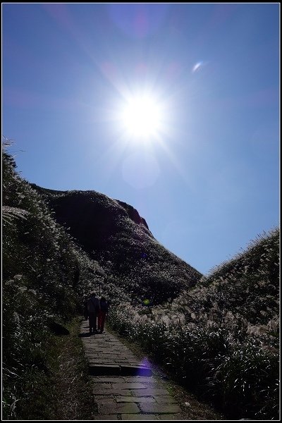 2014.11.22 草嶺古道賞秋芒