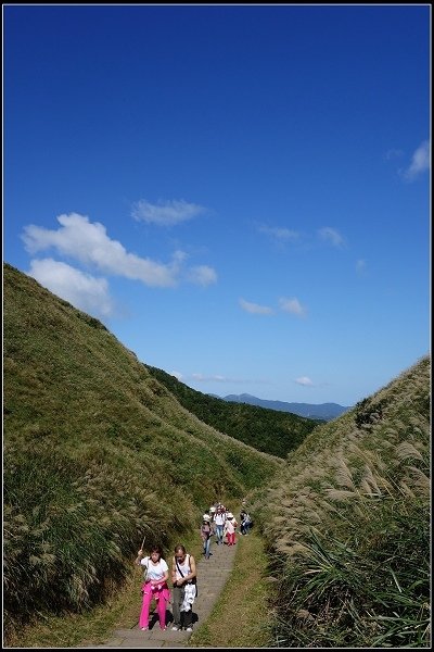 2014.11.22 草嶺古道賞秋芒