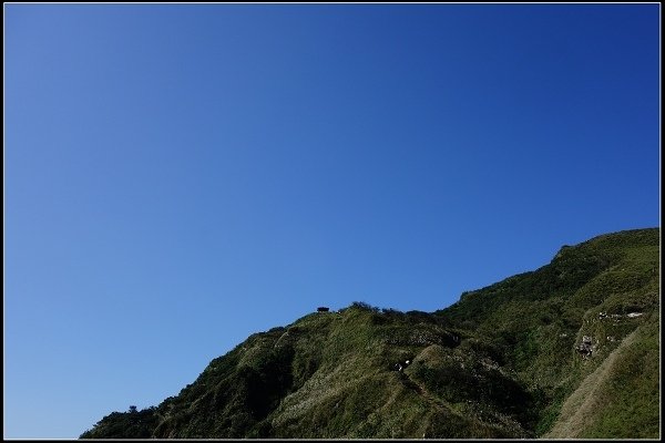 2014.11.22 草嶺古道賞秋芒