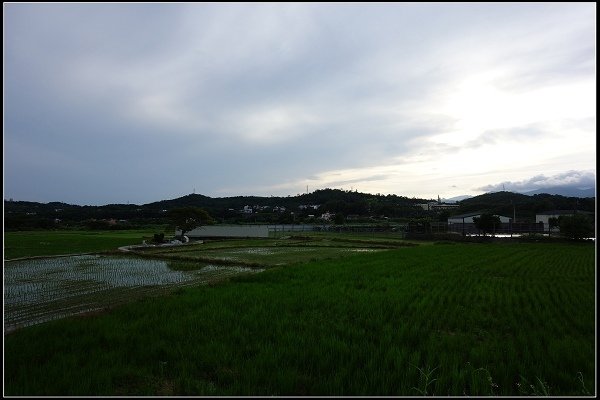 2014.08.02【單車遊記】《貓裡》小旅行