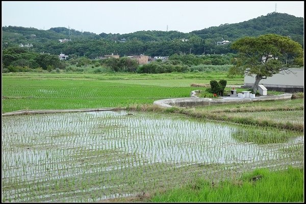 2014.08.02【單車遊記】《貓裡》小旅行