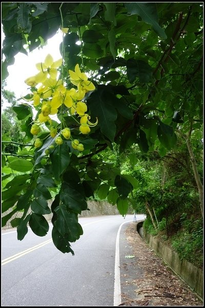 2014.08.02【單車遊記】《貓裡》小旅行