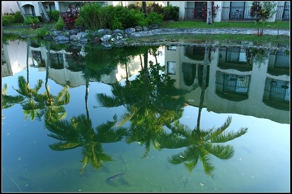 2014.07.29 五天四夜花蓮遊縱(四)(芝麻開門日式餐