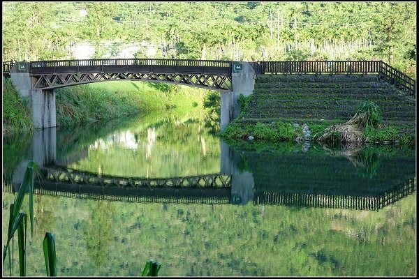 2014.07.28 五天四夜 花蓮遊縱(三)(雲山水、禾田