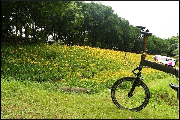 2014.05.18【單車遊記】三芝牧蜂農場‧探尋金色花海