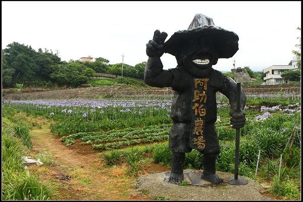 2014.05.18【單車遊記】三芝牧蜂農場‧探尋金色花海