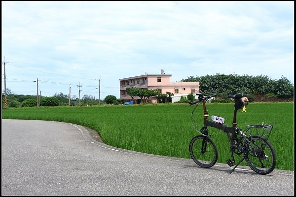 2014.05.18【單車遊記】三芝牧蜂農場‧探尋金色花海