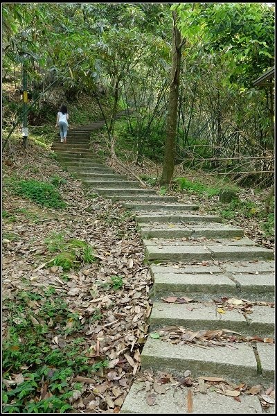 2014.03.29 新店獅頭山登山步道