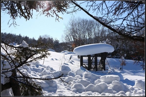 2014.01.23 雪白國度‧北海道風情 I