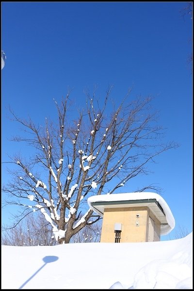 2014.01.23 雪白國度‧北海道風情 I