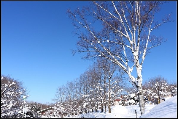 2014.01.23 雪白國度‧北海道風情 I