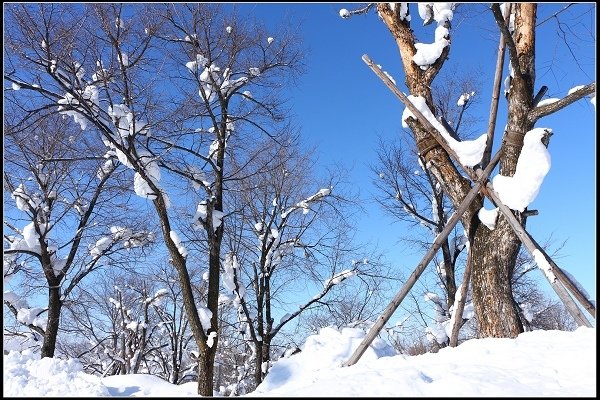 2014.01.23 雪白國度‧北海道風情 I