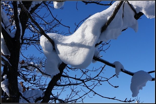 2014.01.23 雪白國度‧北海道風情 I