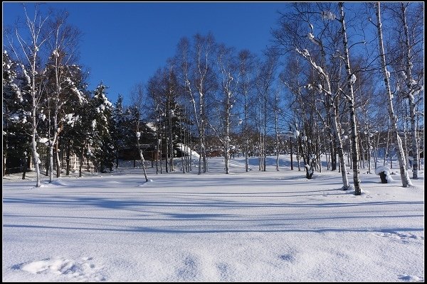 2014.01.23 雪白國度‧北海道風情 I