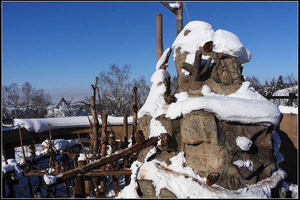 2014.01.23 雪白國度‧北海道風情 I