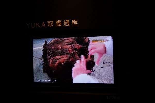 2013.12.28【室內展覽】中正紀念堂《長毛象YUKA特